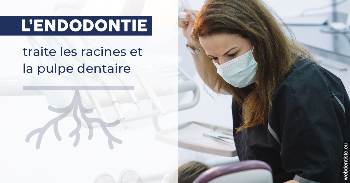 https://dr-medioni-philippe.chirurgiens-dentistes.fr/L'endodontie 1