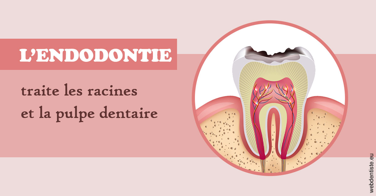 https://dr-medioni-philippe.chirurgiens-dentistes.fr/L'endodontie 2