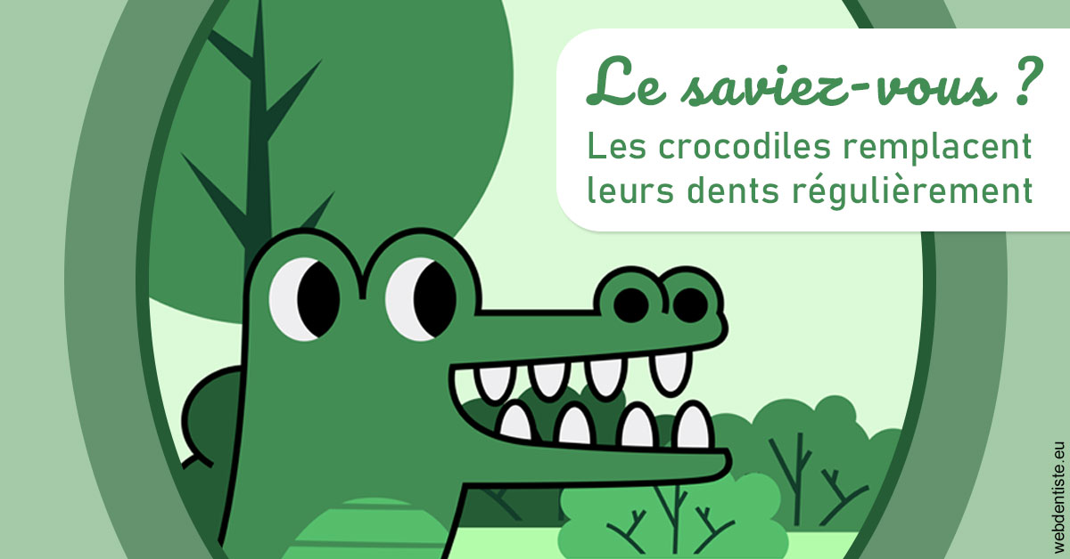 https://dr-medioni-philippe.chirurgiens-dentistes.fr/Crocodiles 2